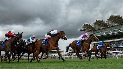 How the Quadpot works and a guide to betting on it .